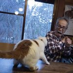 [다들] <b>니</b><b>열폭</b> 비웃는다..ㅋ