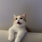 [<b>중국</b>] 인구 코로나때매 <b>반</b>으로