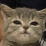 [<b>흡족</b>] 사랑한다