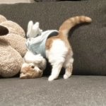 [잠깐] 대가리 박고 <b>명상</b>좀