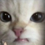 [재수없는] 악플러 음식에 <b>벌레</b>나오길