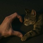 [꼴초] 개<b>즈</b>씨야 담배필<b>때</b>마다