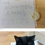 [고양이] 나쁜 고양이