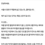 [도와주세요] 도와주세요ㅠ 작지만 소중한 <b>보물</b>입니다..