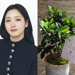 기부→어버이날 소속사 전 직원 가정에 <b>화분</b>+편지 '가정의 달 요정'