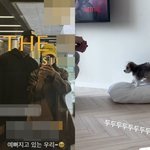 앵무새만 키우는 박하나, 김태술 집 갔나…사랑스런 반려견 등장