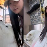 [어케생각해] 김사랑, 몽글몽글한 일상 속 사모예드도 반할 동안...