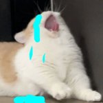 <b>감사</b>한건