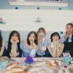 레드벨벳→오마이걸, 결국 ‘따로 또 같이’[스경X초점]