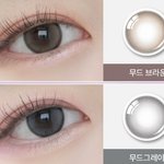 얘들아 오렌즈 <b>무드</b>나잇 색 뭐 살까