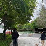 <b>이솔</b>이, 팔자 좋아졌네 자화자찬 "강아지 &amp; 박성광과 산책까지"