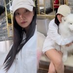 김사랑, <b>SNL</b> 19금 빨대 연기 후‥몽글몽글 사모예드와 힐링