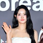 안성일 대질 심문 후 건강악화…<b>PTSD</b> 호소하며 활동 중단[종합]