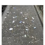 [웃픽] 벌금 30만원으로 올려 강력하게 <b>단속</b> 했으면 하는 것