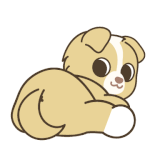 살면서 제일 시원하게 똥싼적언제야?