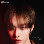 와 원빈 영화