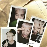 [드루와] 지디 짤털