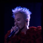 [드루와] 지디 고양콘 짤털