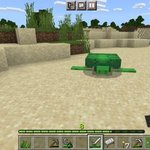 마크 <b>야생</b> 꼬부기