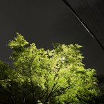 나 귀 ㅈ된거임?