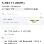 고양이 잃어버려놓고 남의 탓