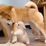 <b>똑똑</b>
