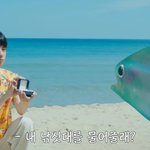 [방탄소년단] 석진형 참치만 사랑해죠 <b>젭알</b>