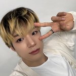 제노는 한달에 한번 <b>버블옴</b>