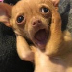 방탄의 뒤꽁무니를 바짝 추격중인 아이돌