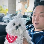 "밥 먹을 때마다 시선 불편해"…꽃분이 <b>감시</b>에 '불편한 식사'