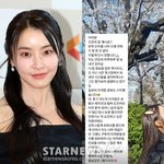 '강타' 정유미, 유튜브 중단 사정 밝혔다.."저도 너무 아쉬워"