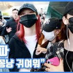 "꽁냥꽁냥 귀여워"...에스파, 짱친의 <b>바이브</b>