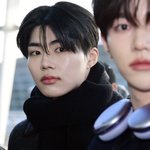 제<b>베원</b> 라이즈 보넥도 엔위시 팬들아