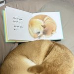 와 나 <b>거의</b> 11시간 잠