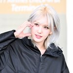 "역시 파워인싸"..전<b>소미</b>, 손님 없자 직접 나섰다 '거리 홍보'...