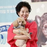 '81세' 선우용여, 한남동 큰손이었네.."65년 째 세 받는...