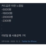 [웃픽] <b>카드</b>값은 이런느낌이죠