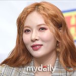 "용준형도 양관식"…현아→조혜련, '우리집 관식이' 대란 [<b>MD</b>이슈]