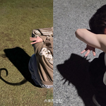 <b>Z세대</b> 밈 접수한 들…‘고양이 그림자’ 인증 열풍[스경연예연구소]