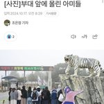 방탄 제대하면 또 보게 될 무개념 <b>아미</b>들ㅋㅋㅋㅋ