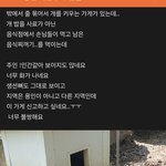 [어케생각해] <b>동물</b>학대가 아니라는 사람들 봐주세요