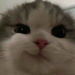 ❌❌❌❌절대 누르지 마시오 누르면 <b>책임</b> 못짐❌❌