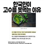 [웃픽] 한국인이 고수 못 먹는 이유.<b>jpg</b>