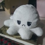 <b>문어</b>아찌 삐진사진