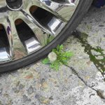 삶의 <b>무게</b>