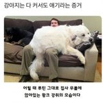 [웃픽] 강아지는 다 커서도 애기라는 <b>증거</b>