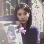 아이유 꽃<b>갈피</b>셋 컨셉 포토