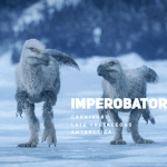 <b>남극</b>에서 발견된 희귀한새!!