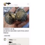 [웃픽] <b>리뷰</b>에 굳이 사진까지