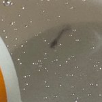 브랜드 B 햄버거 벌레.. 사이다에서 <b>애벌레</b>같은거 나옴.....